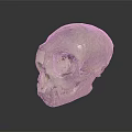 Primate Skull With Natural Texture And Distinct Facial Features On Dark Background
