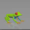 Vibrant Green Frog with Red Eyes Blue Legs and Orange Toes on Dark Reflective Surface