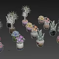 Various Potted Plants In Colorful Different Shaped Pots With Flowering And Green Leaf Varieties