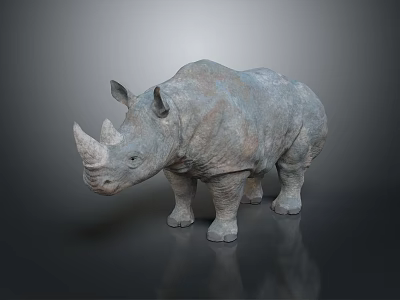 Gray Horned Rhinoceros With Rough Skin Standing On Dark Reflective Surface 3d model