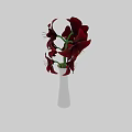White Simple Vase With Red Amaryllis Flowers And Green Leaves Against Dark Background