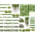 Various Decorative Vines And Greenery For Wall Hanging And Potted Designs