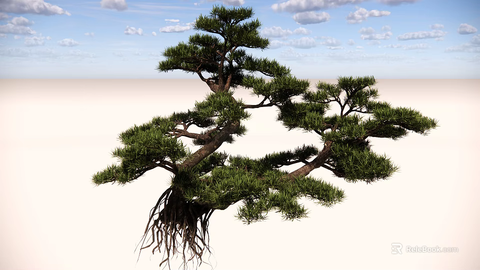 Pine Tree With Curved Branches Exposed Roots And Green Needles Against Blue Sky 3d model 