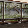 Modern Large Window Blinds In Interior With Natural Tree View And Greenery