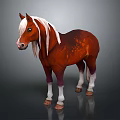 Brown Horse With White Mane And White Hooves Standing On Gradient Gray Background