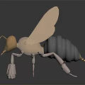 Gold and Black Ant With Wings Standing On Shiny Black Surface With Reflection