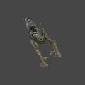 Game and Movie Character Sci Fi Alien Creature With Metallic Exoskeleton And Multiple Limbs 3d model