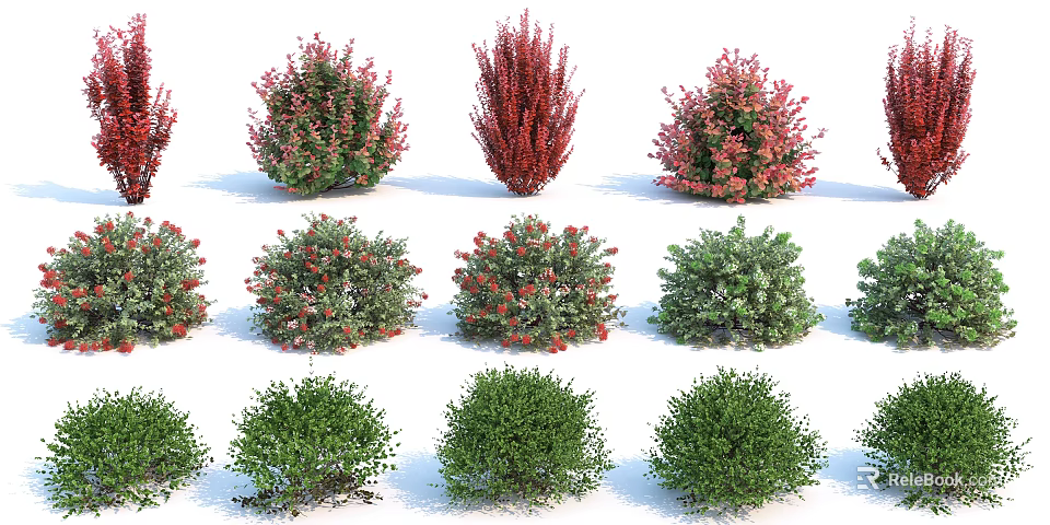 Different Types of Flowering Shrubs with Green and Red Foliage for Garden Landscaping 3d model 