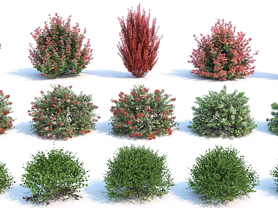 Different Types of Flowering Shrubs with Green and Red Foliage for Garden Landscaping 3d model