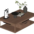 Modern Minimalist Wooden Coffee Table with Black Vase Green Plant Magazine and Drawer Storage