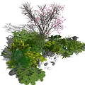 Modern Shrub 3d model