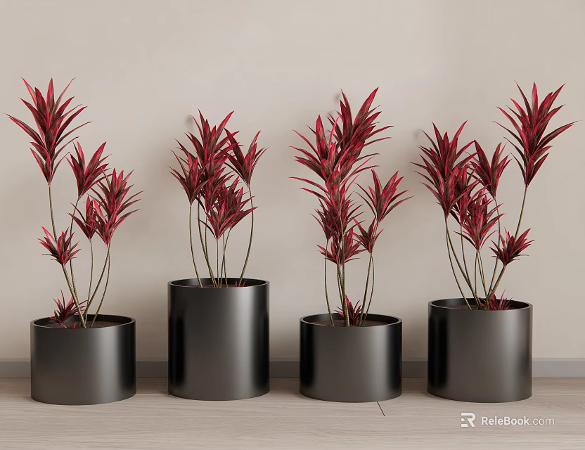 Bonsai Potted Plants with Red Leaves in Black Cylindrical Pots Arrangement 3d model 