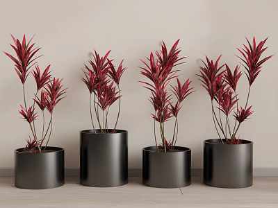 Bonsai Potted Plants with Red Leaves in Black Cylindrical Pots Arrangement 3d model