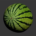 Fresh Ripe Watermelon with Green Black Striped Pattern on Dark Background and Reflective Surface