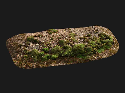 Natural Stone Surface Covered With Lush Green Moss And Textured Details 3d model