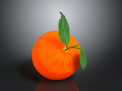 Fresh Ripe Orange With Green Leaves On Dark Shiny Background 3d model