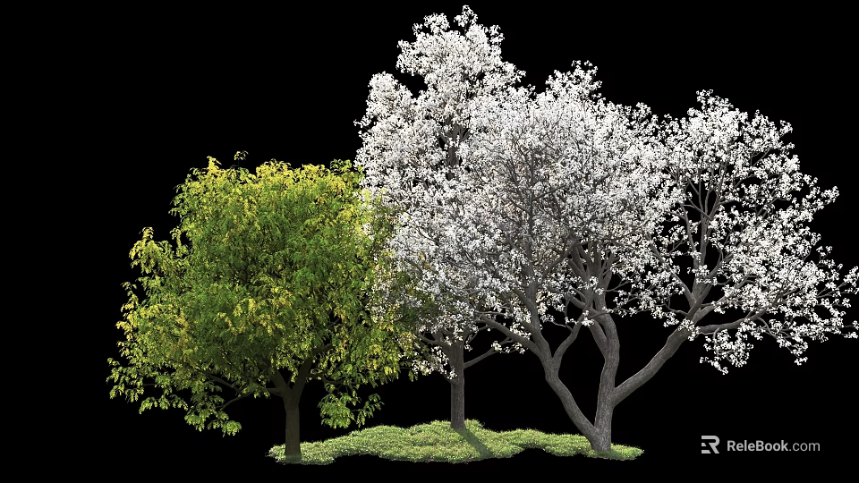 Beautiful Arbor Trees With Green Leaves White Blossoms And Lush Grass 3d model 