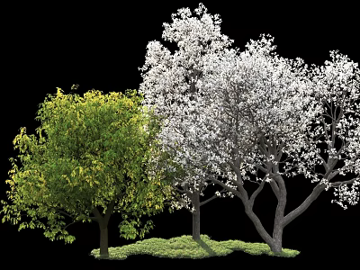 Beautiful Arbor Trees With Green Leaves White Blossoms And Lush Grass 3d model