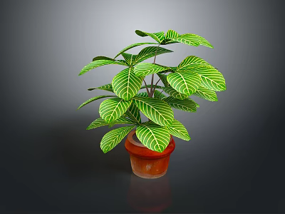 Green Leafy Plant With White Veins In Brown Pot For Indoor Decoration 3d model