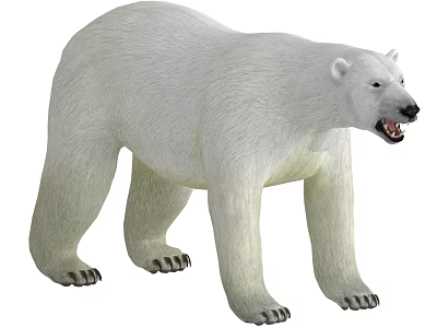 3D Realistic Polar Bear Model With White Fur Standing Open Mouth And Sharp Claws 3d model
