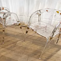 Transparent Acrylic Leisure Chair With Leaf Patterns For Modern Indoor Decoration