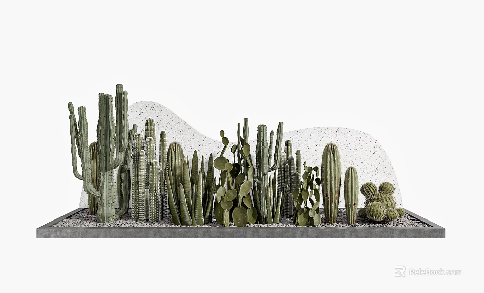 Various Cactus Potted Plants With Decorative Stone Base And Wavy Backdrop 3d model