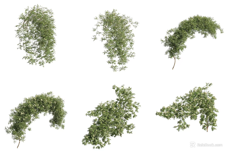 Green Vines Decorative Climbing Plants Various Shapes For Home And Garden Design 3d model 