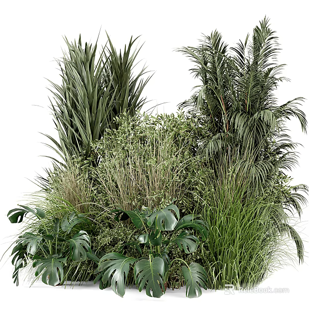 Lush Tropical Green Plants Collection with Large Leaves Ferns and Grasses 3d model 