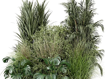Lush Tropical Green Plants Collection with Large Leaves Ferns and Grasses 3d model