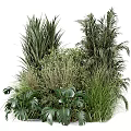 Modern Plant Heap 3d model