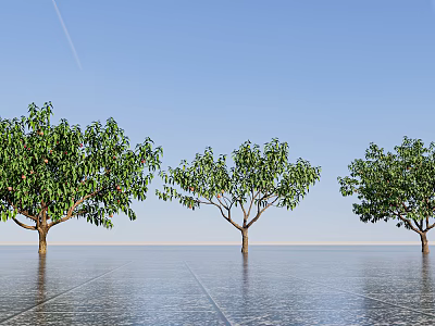 Modern Peach Tree 3d model Modern Peach Tree 3d model