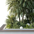 Outdoor Tree Planter with Lush Green Trees Various Plants and Natural Foliage