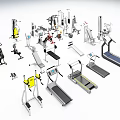 Various Sports Equipment Collection With Treadmills Dumbbells Barbells And Exercise Machines