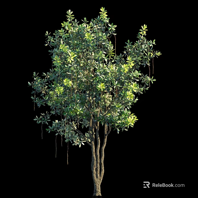 Lush Green Arbor With Dense Foliage Strong Brown Trunk And Hanging Branches 3d model 