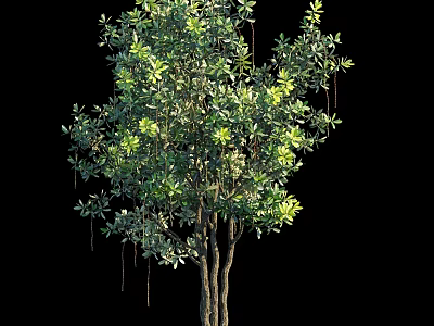 Lush Green Arbor With Dense Foliage Strong Brown Trunk And Hanging Branches 3d model