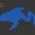 Vibrant Orange Brown Spotted Frog With Long Legs On Dark Isolated Background