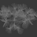 Arbor with Lush Green Palm Like Leaves and Strong Trunk Structure