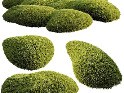 Lush Green Various Shaped Healthy Well Trimmed Natural Garden Shrubs Look 3d model