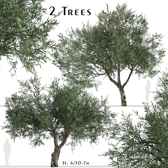 Natural Style Olive Tree Decorative Ornament Set With Realistic Branches And Leaves For Home Decor 3d model 