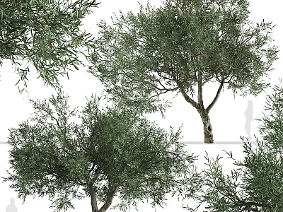 Natural Style Olive Tree Decorative Ornament Set With Realistic Branches And Leaves For Home Decor 3d model