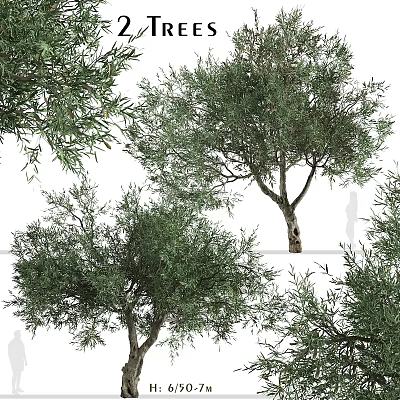Natural Style Olive Tree Decorative Ornament Set With Realistic Branches And Leaves For Home Decor 3d model
