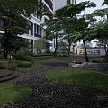 Tranquil Garden Landscape With Tall Trees Lush Lawn Stone Pathway And Outdoor Seats