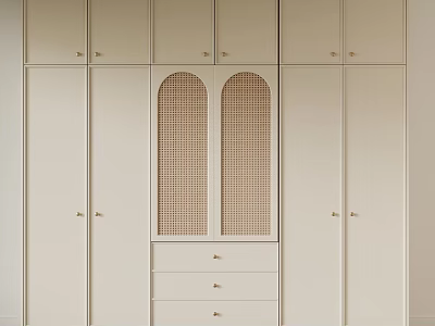Modern Wardrobe Interior Design With Arched Rattan Mesh Doors And Storage Drawers 3d model