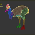 Cassowary With Brown Casque Blue Red Neck Black Body And Long Legs Standing