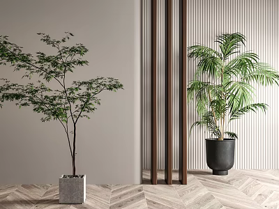Bonsai Potted Plants With Lush Green Leaves In Modern Interior With Striped Wall And Herringbone Floor 3d model