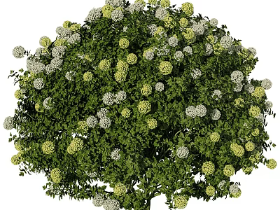 tree landscape tree shrub plant 3d model