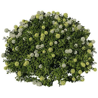 tree landscape tree shrub plant 3d model
