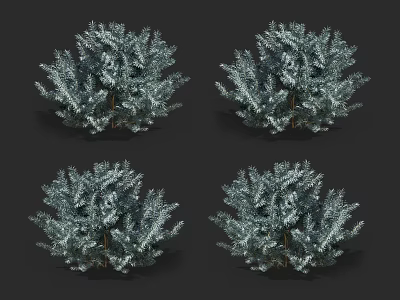 Green Shrub Plants With Dense Foliage In Multiple 3D Model Display Views 3d model