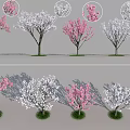 Flowering Arbor Trees With Pink White Red Blooms Detailed Views And Shadow Effects