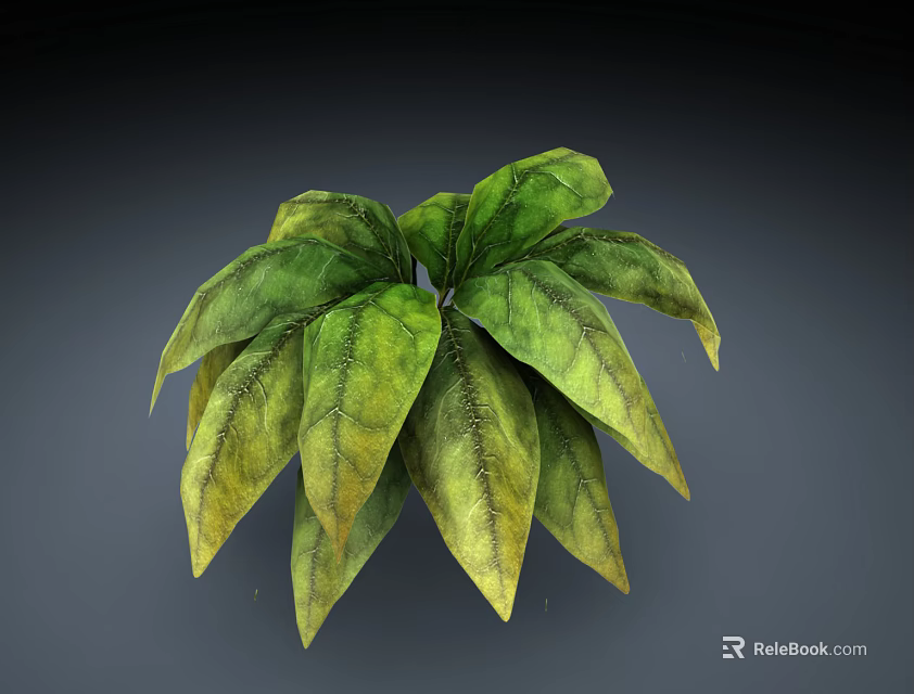 Lush Potted Plant With Broad Green And Yellow Leaves Showing Prominent Veins 3d model 